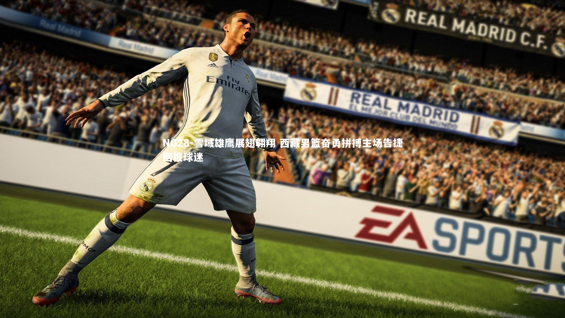 雪域雄鹰展翅翱翔 西藏男篮奋勇拼搏主场告捷回报球迷