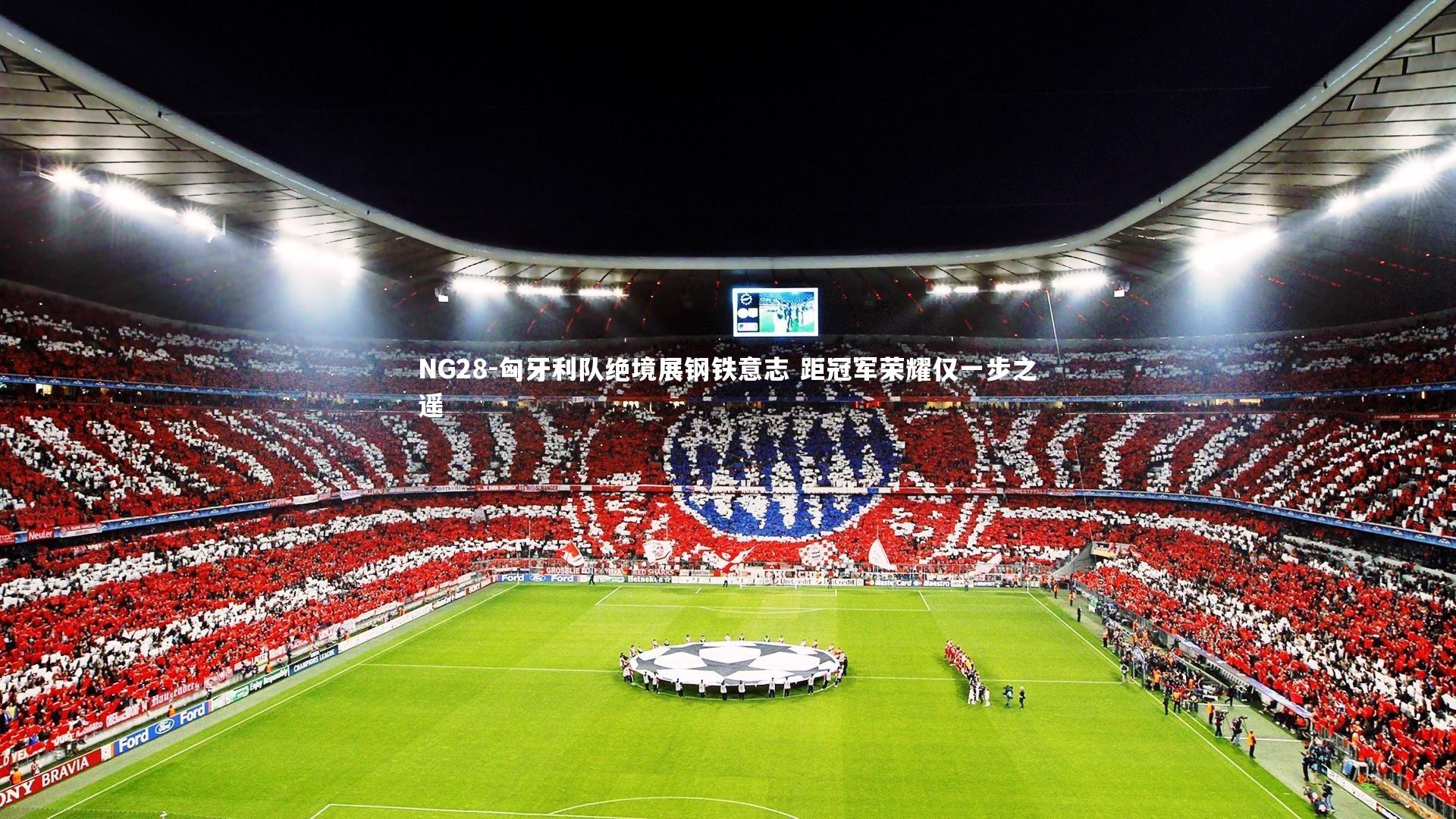 NG28-匈牙利队绝境展钢铁意志 距冠军荣耀仅一步之遥